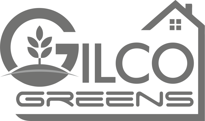 Client